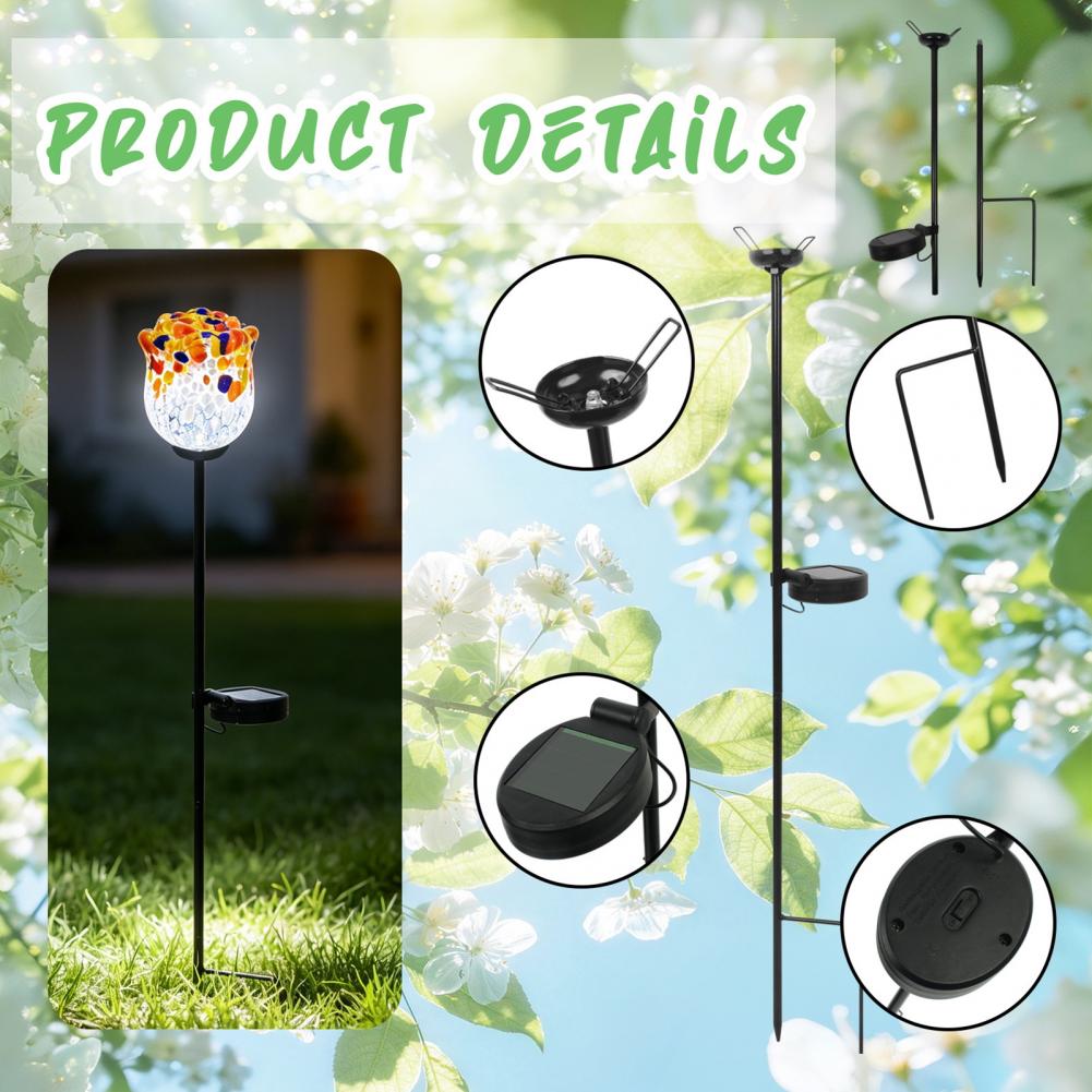Luzes de Jardim Solares em For - Outdoor Power And Plant avaliação e preço